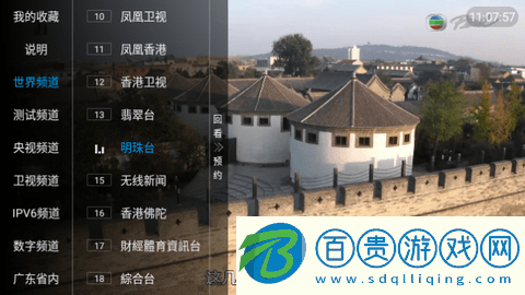 小樹林TV內置源版